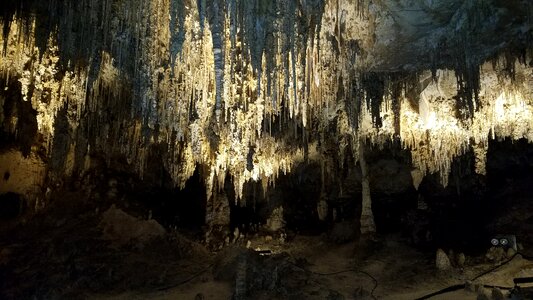 Trees limestone cave photo