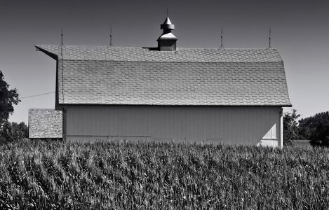 Corn field barn photo