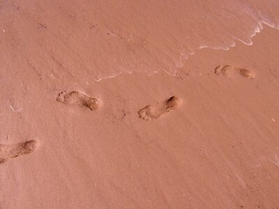 Traces sand beach photo