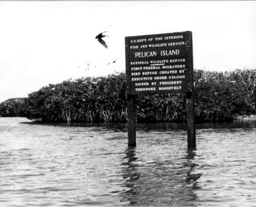 Pelican Island National Wildlife Refuge 