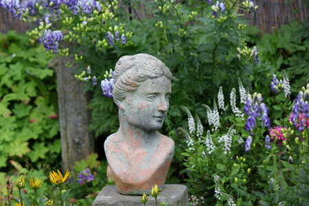 Female bust between flowers photo