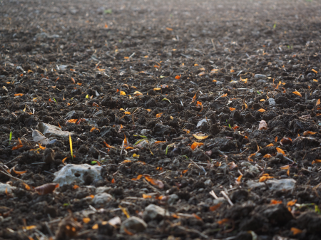 Agriculture landscape nature