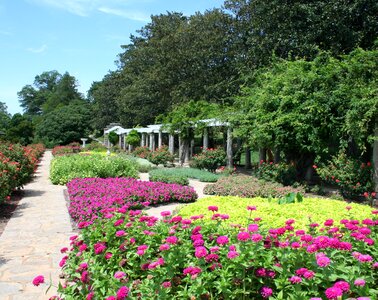 Path garden bed photo