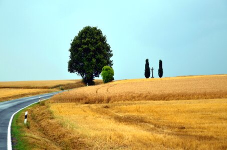 Agriculture blue sky farming