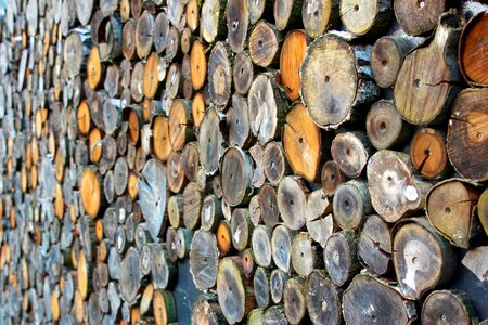 Firewood log timber photo