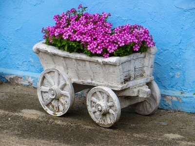 Dare cart summer
