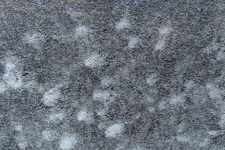 Dirt on Plexiglass
