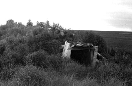 Home remains 
