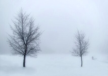 Landscape white fog