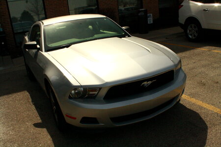 Car Mustang Ford