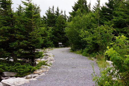 Spruce Mountain Trail in WV