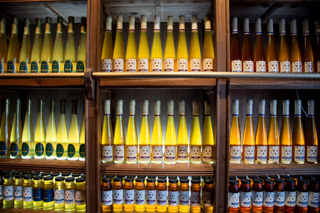 Wines on the shelf photo