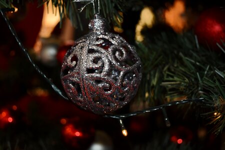 Christmas christmas tree grey