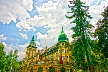 Spire architecture trees