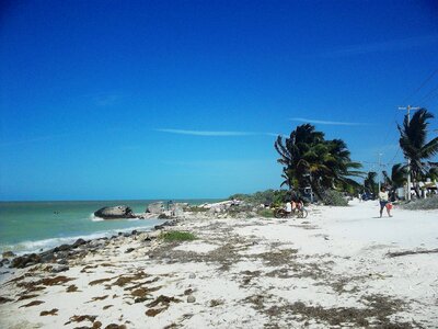 Wild Beach at San Crisanto Yucatan Mexico