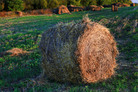 haystack photo