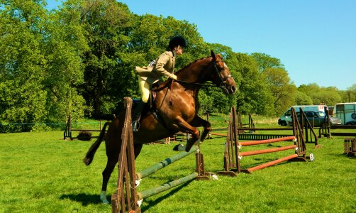 Jumping equestrian sport photo