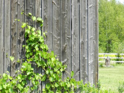 Wooden textured texture