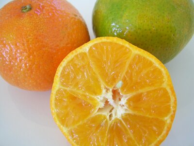 Oranges citrus fruits