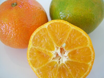 Oranges citrus fruits photo