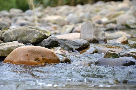 Nature beautiful rest