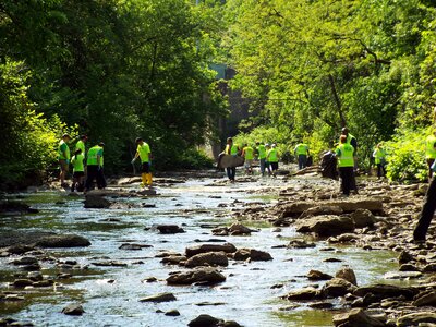 Creek scenic environment