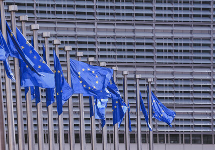 EU Flags in Front of European Commission, Brussels photo