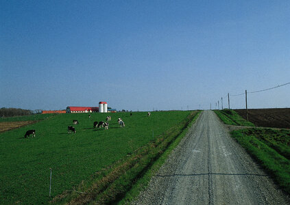 Road in field and sky photo