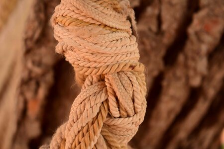 Brown daylight knot