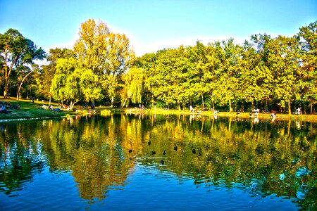 Lake pond reflection photo