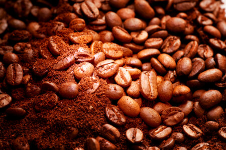 Coffee grains photo