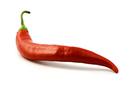 Red Hot Chilli photo