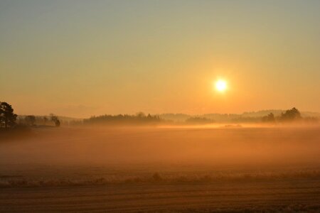 Dawn dusk field photo