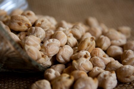 Legumes pulses vegetarian