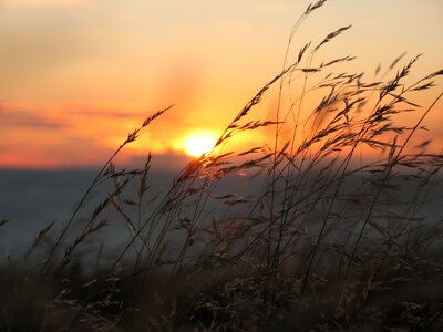 Sun setting mood