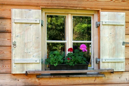 Window wooden windows flowers photo