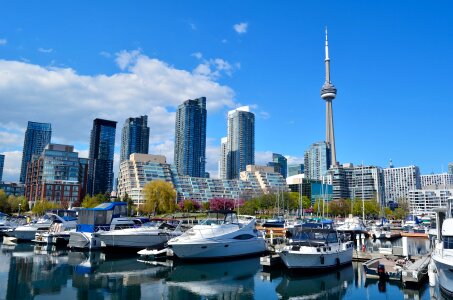 Photo of the Toronto skyline under a clear sky.