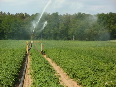 Water plantation agriculture photo