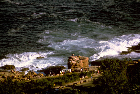 Rugged Coastline at Acadia National Park, Maine photo