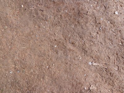 Dried mud background texture photo