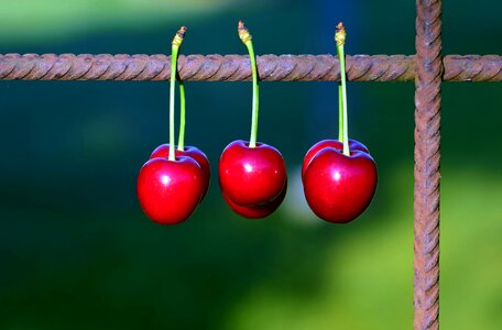 Berry cherry diet photo