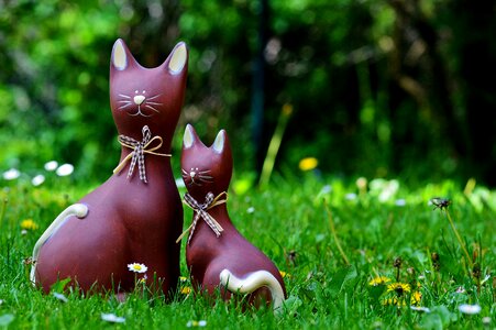 Funny cute meadow