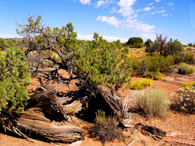 Desert rocks landscape photo