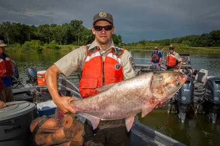 Fishery biologist with large Silver carp-6