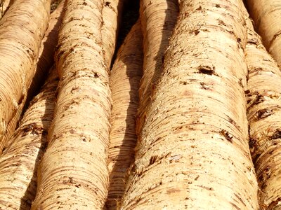 Timber bark material
