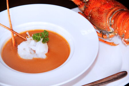 Lobster Soup photo