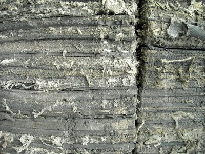 Fiber structure 