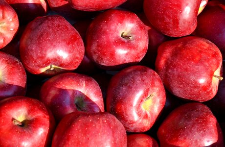 Apple fruit food