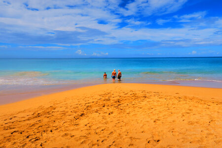 People standing in the shallow water on the beach