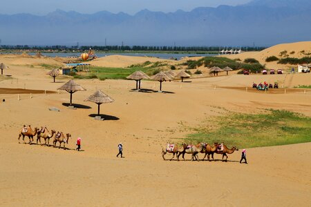 Sand sea the scenery the edge of the desert